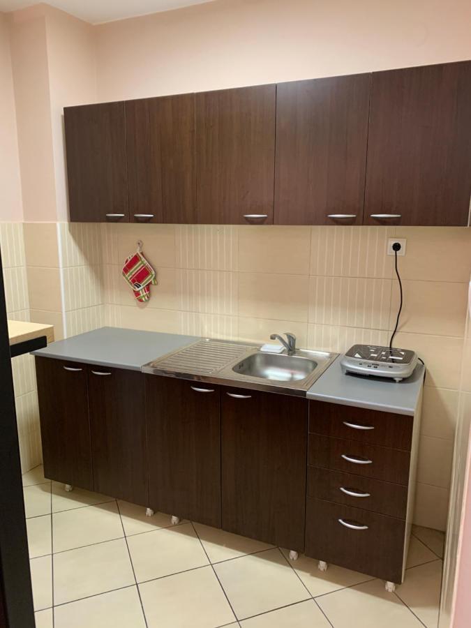Mila Apartment Novi Sad Exterior photo